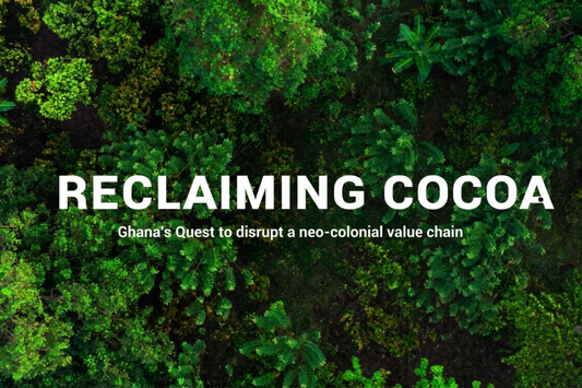 Reclaiming Coco – A Documentary Screening & Live Discussion at ZAF Impact Summit
